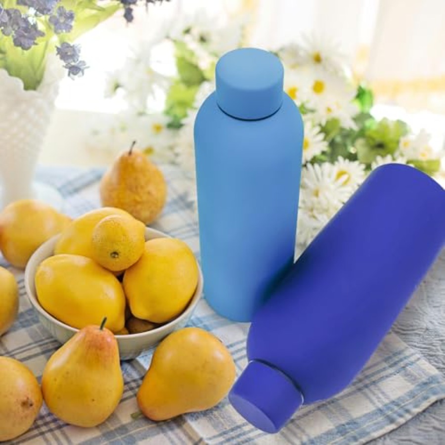 16 Pack Stainless Steel Insula - огляд і ціна Water Bottle Blank
